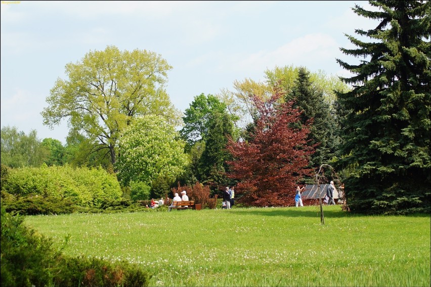 Majówka na łonie natury - Ogród Botaniczny