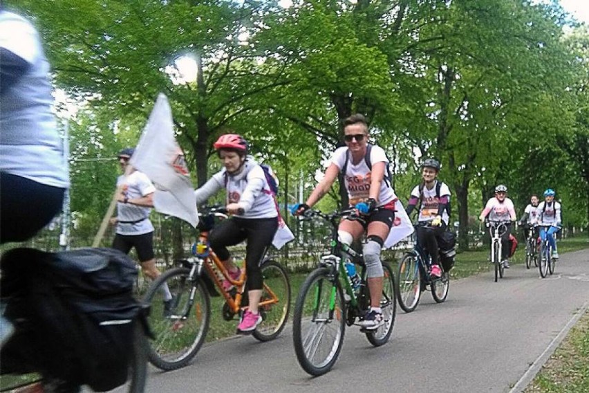 Wystartował Bieg do miodu. Pobiec, przejść, przejechać na rowerze, czy rolkach może każdy!