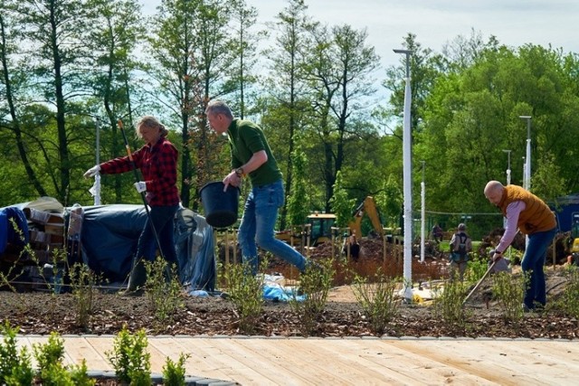 W Sławkowie w Parku Doliny Białej Przemszy pojawią się wkrótce łąki kwietne 

Zobacz kolejne zdjęcia/plansze. Przesuwaj zdjęcia w prawo - naciśnij strzałkę lub przycisk NASTĘPNE