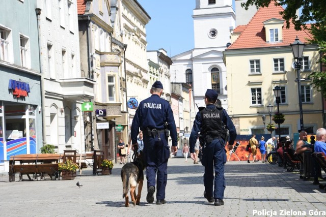 Sprawdź, jakie są pensje policjantów >>>