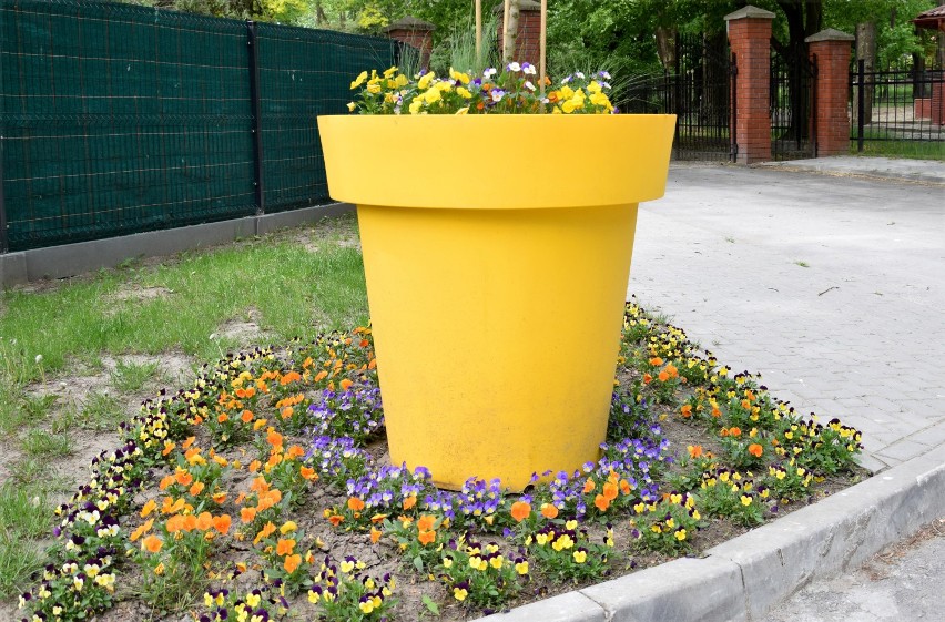 Jarosław kwitnie na wiosnę. Nie tylko w parku miejskim, ale także w innych miejscach miasta zrobiło się zielono i kolorowo [ZDJĘCIA]