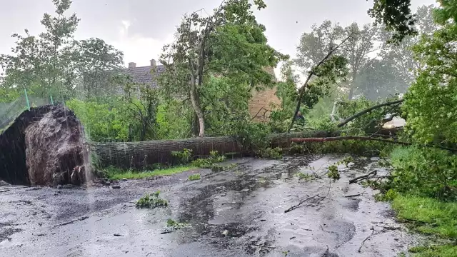 Strażacy z całego powiatu żarskiego, ze wszystkich jednostek OSP, brali udział w interwencjach po sobotnich burzach.