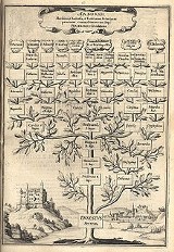 Jak stworzyć własne drzewo genealogiczne?