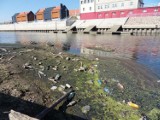 Były urzędnik: do portu w Grudziądzu wpływają śmieci
