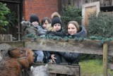 Żywa szopka w Wolborzu w podwórku plebanii parafii Św. Mikołaja cieszy się zainteresowaniem ZDJĘCIA