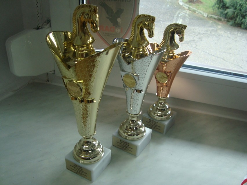 Szkoły w Skomlinie i Białej wygrały mistrzostwa powiatu wieluńskiego w szachach drużynowych[FOTO, WYNIKI]