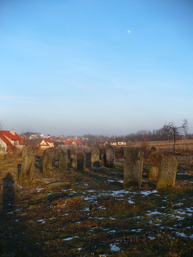 Na pag&oacute;rku stoją kamienne macewy. Zwr&oacute;cone licami na południe, przyglądają się Bodzentynowi i okolicy.   fot. R. Grzeszczyk