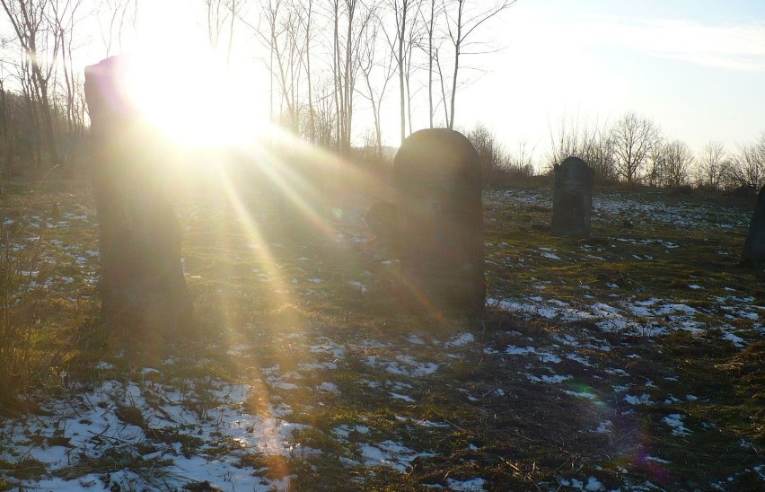 Na cmentarzu spoczywa Dorota z Bryczkowskich...