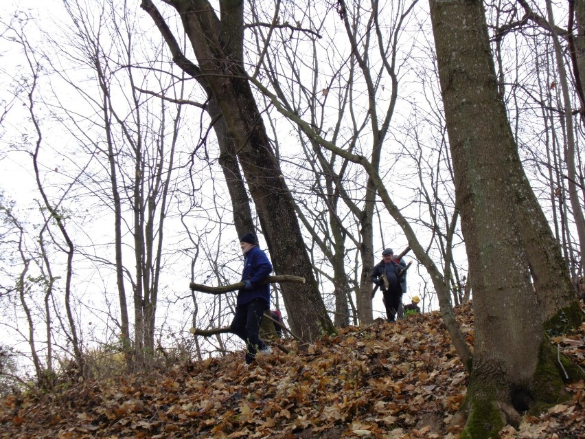 Trzemeszno. Sprzątali żydowski cmentarz. To dopiero początek prac [FOTO]