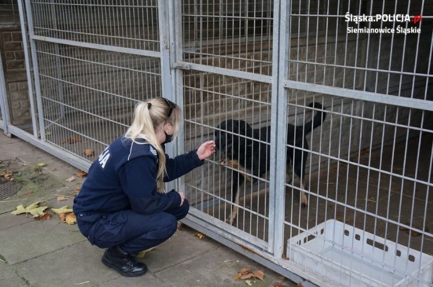 Policjanci z Siemianowic Śląskim przekazali dary dla...