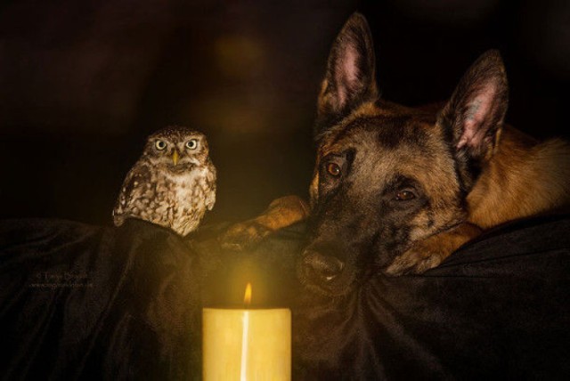 Fot.Tanja Brandt/AIP