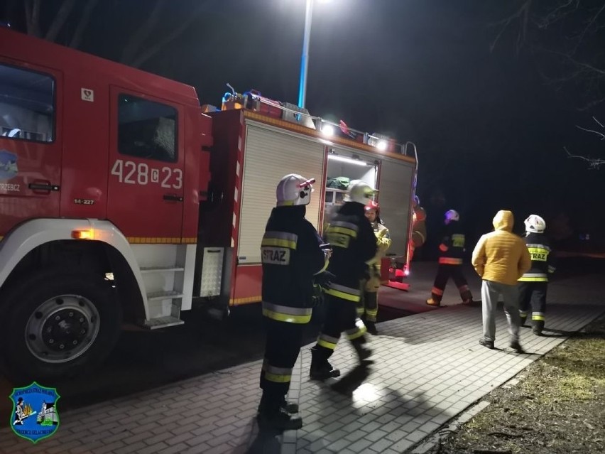 Ratownicy z OSP Trzebcz Szlachecki pomogli wystraszonemu...
