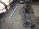 Po 17 latach odkryto tu kolejne szczątki z rzeczami osobistymi. Cenne skarby wykopano w pobliżu Siedliska