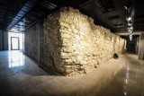 Tak wyglądają pozostałości starego ratusza w Częstochowie. Muzeum szykuje wystawę