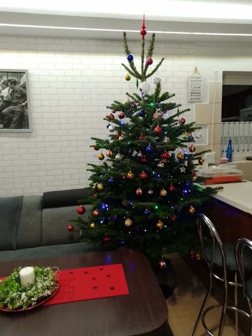 Tak ubrali swoje choinki mieszkańcy powiatu szamotulskiego! Ponad 70 inspiracji na dekorację świątecznego drzewka