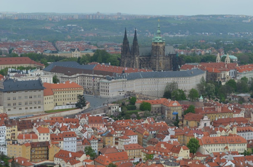 Chcesz jechać na wycieczkę do Pragi? Dobrze się zastanów