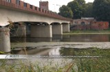 W środę (18 czerwca) przetarg na budowę mostu w Malborku? Tak planowała GDDKiA (AKT.)