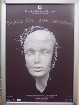 Wystawa Schizofrenia w Płockiej Galerii Sztuki [ZDJĘCIA]