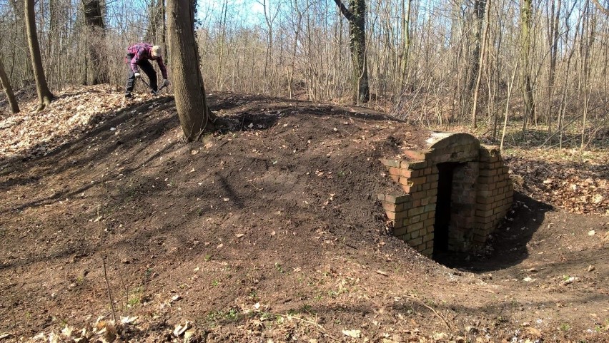 Kolejny szprotawski park odzyskuje blask. Atrakcją są... szczeliny