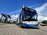 PKT unieważniło przetarg na dostawę nowych trolejbusów dla Gdyni. Powodem rosnące ceny energii