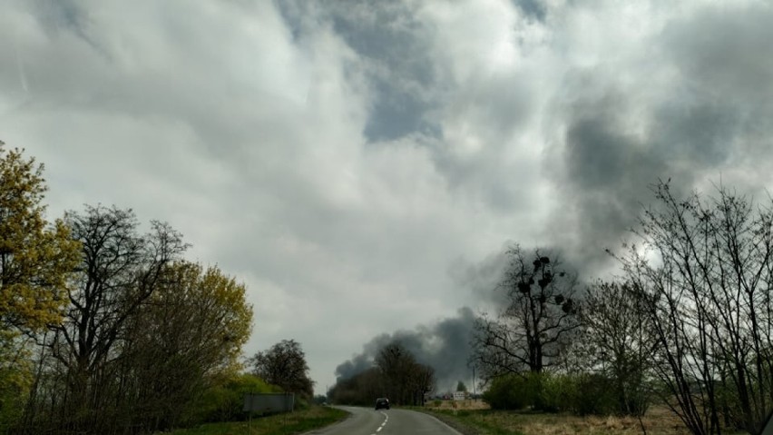 Bierutów. Wielki pożar pustostanu przy Słowackiego (FOTO)   