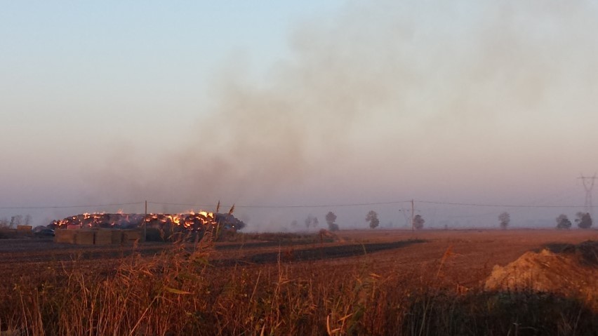 Gm. Nowy Dwór Gdański. Pożar stogu siana