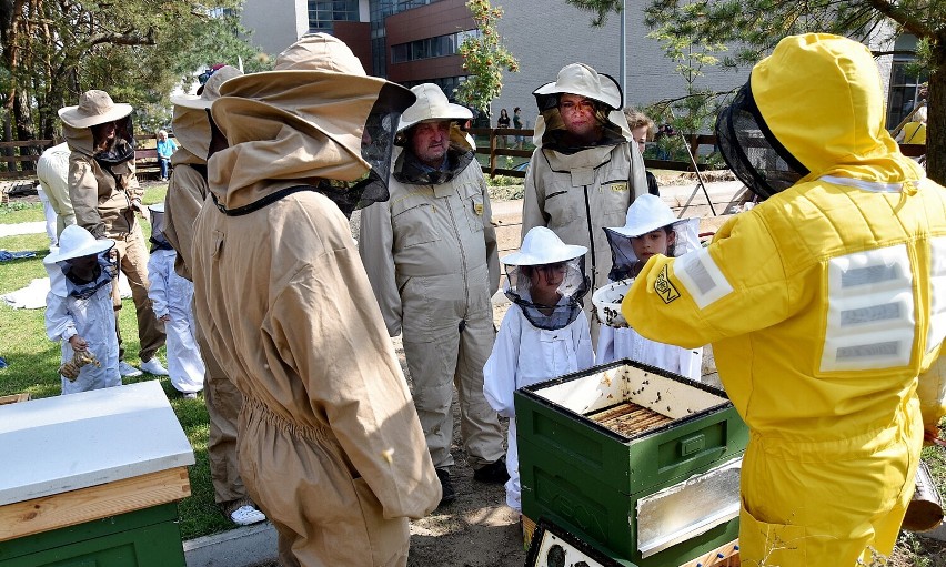 Piła. Dzieci wzięły udział w evencie „Zaprzyjaźnij się z pszczołami”. Obejrzyjcie zdjęcia