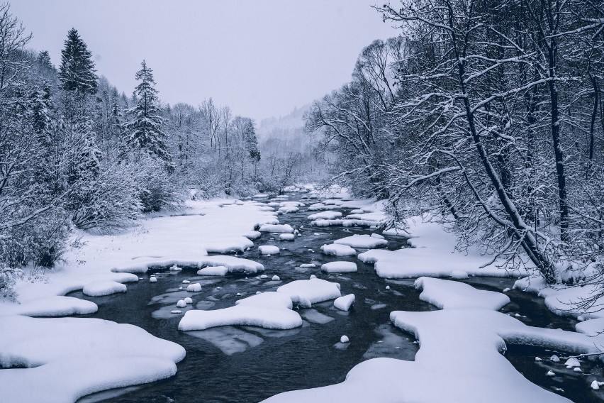 Bieszczady zimą stają się niezwrównanie piękne.