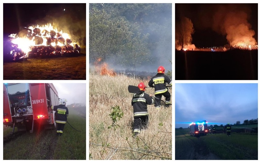 Pożary traw, trzciny, 50 bel słomy i śmieci we Włocławku i powiecie włocławskim [zdjęcia]