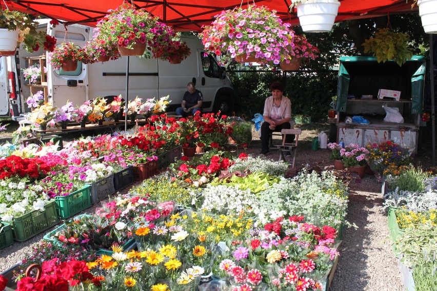 Bazar w Sanoku. Tu kupisz kwiaty, ubrania i starocie. Zobacz ceny i jaki towar jest sprzedawany!