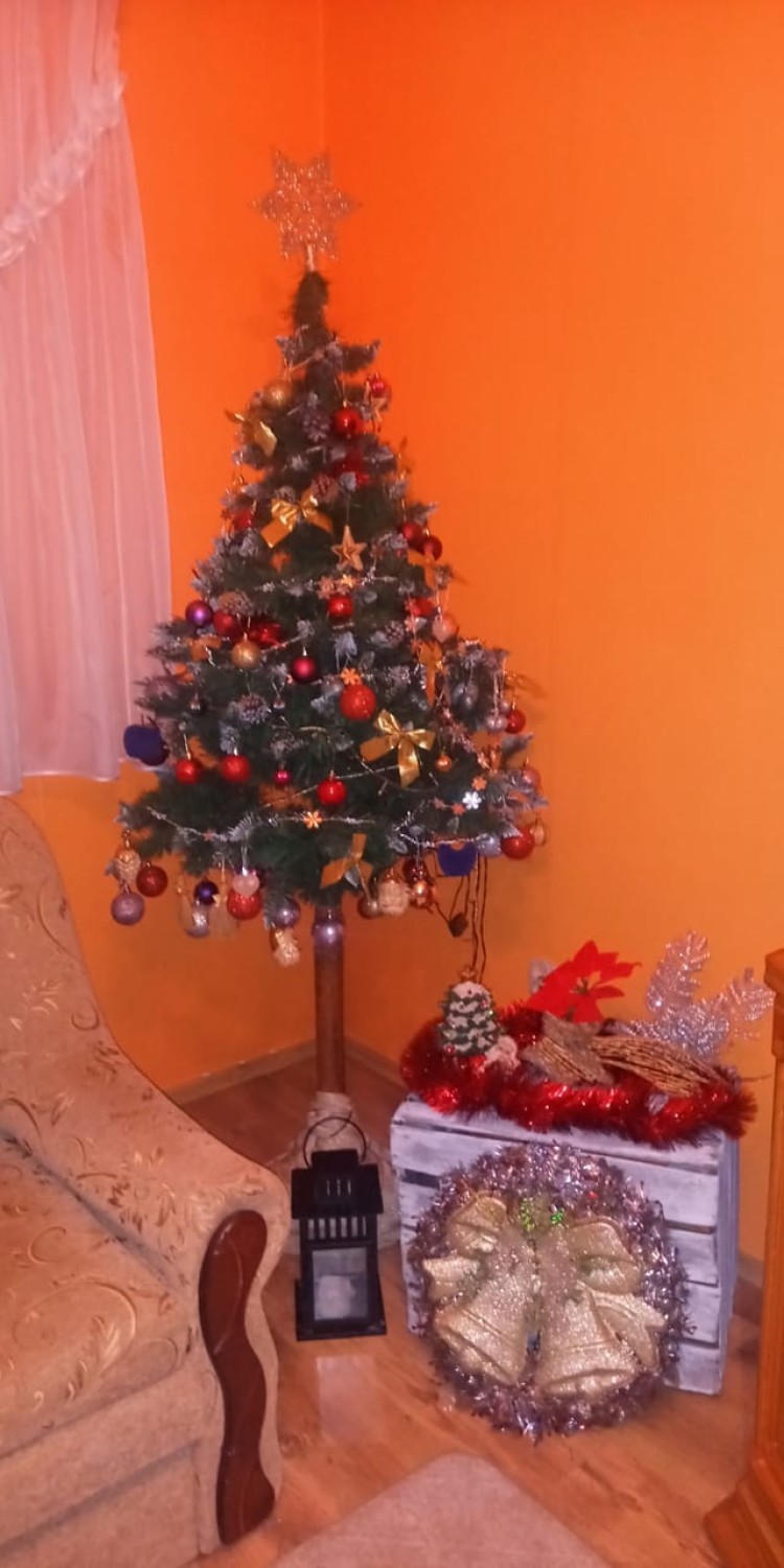 Choinki Internautów z Rzeszowa i nie tylko! Zobacz piękne zdjęcia bożonarodzeniowych drzewek