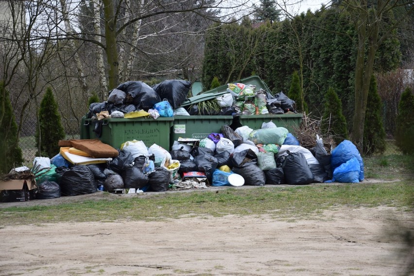 Śmieci wysypują się z kontenerów na terenie działek ROD przy ulicy Strobowskiej