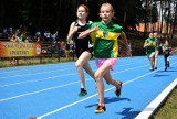 W Sulęcinie odbyły się wojewódzkie zawody lekkoatletyczne. Poznajcie wyniki! [GALERIA]