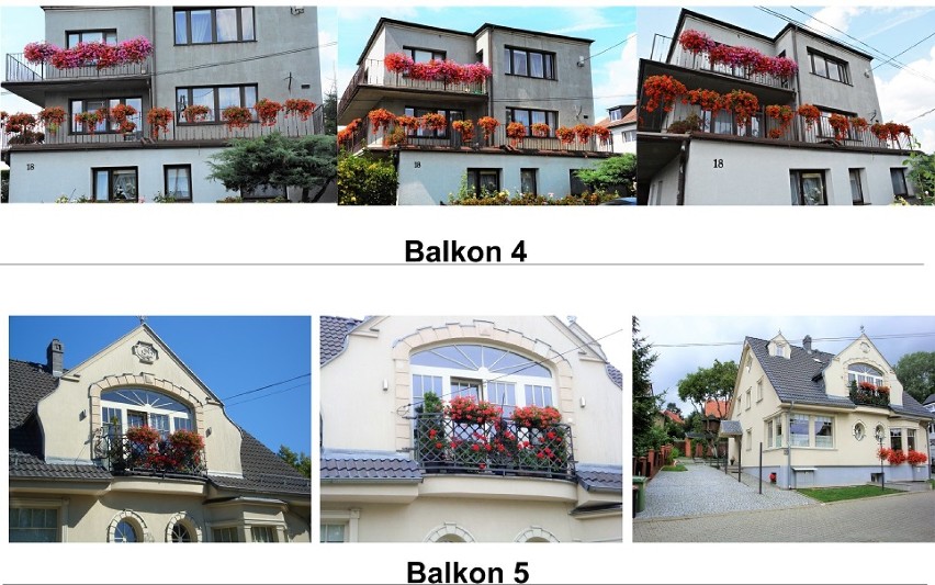 Oto piękne balkony i ogrody w Gorzowie. Które zdobędą główne nagrody? [ZDJĘCIA]