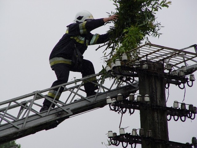 Wiatr zrzucił bocianie gniazdo w Złoczewie. Nową platformę zamontowali już strażacy.