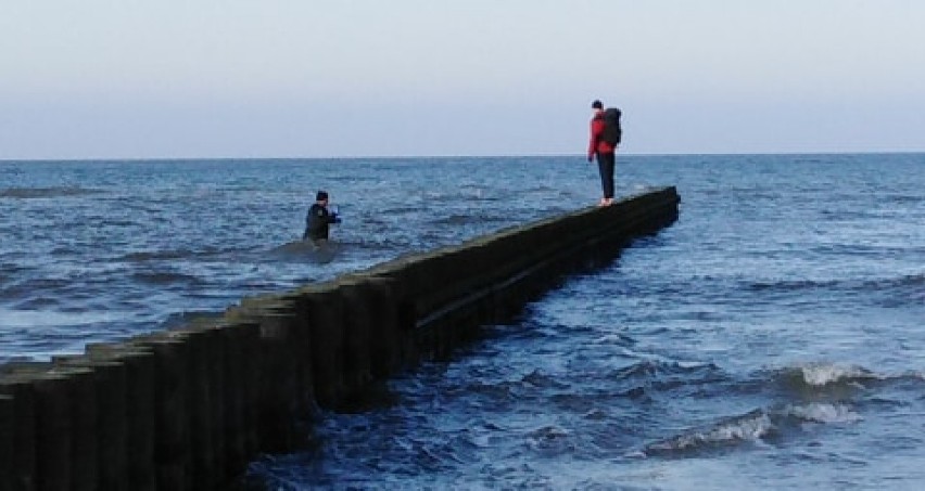 W sobotę po południu na usteckiej plaży wschodniej odbyły...