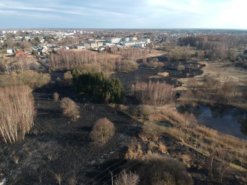Pożar nieużytków przy ul. Stara Droga w Radomsku. Ogień na obszarze 8 ha