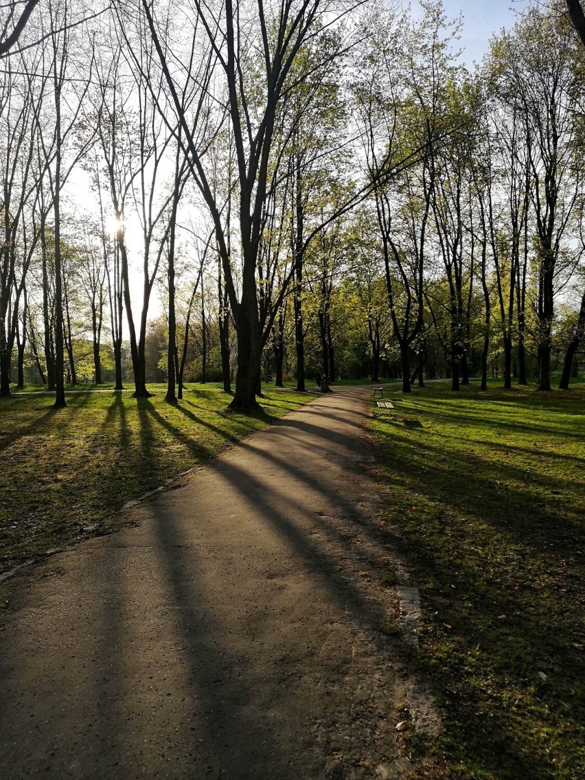 Tak wygląda teraz krakowski Park Lotników