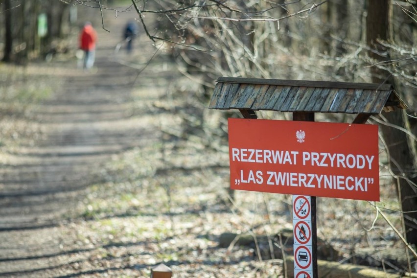 Las Zwierzyniecki Białystok