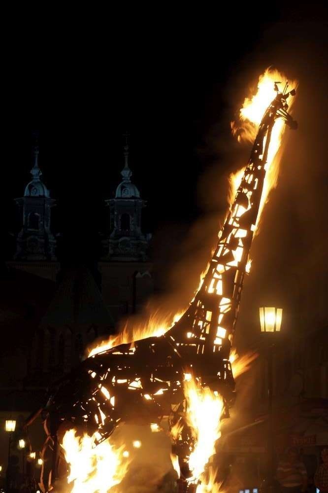 Płonąca żyrafa na gnieźnieńskim Rynku