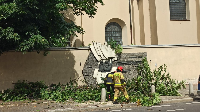 Kalisz: Duży konar drzewa runął na chodnik przy ulicy...