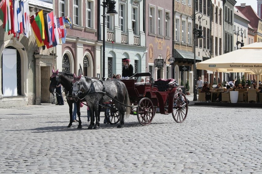 Turystów i studentów urzeka poznańskie Stare Miasto