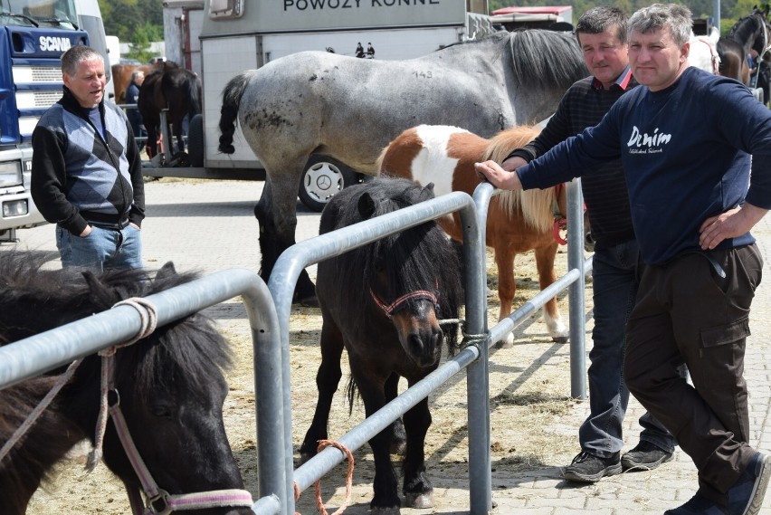 Targi końskie wracają do Pajęczna po pandemicznej przerwie ZDJĘCIA Z ROKU 2019