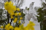 Tak wygląda wiosna w Żninie i powiecie żnińskim - zdjęcia, wideo.  Miejsce na wycieczkę po pałuckich wioskach