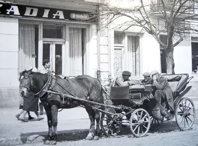 Fot. ze zbiorów Mikołaja Spóza