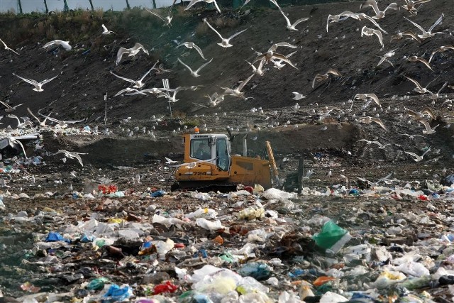 Do sortowni trafiło w ubiegłym roku 116 tys. ton śmieci