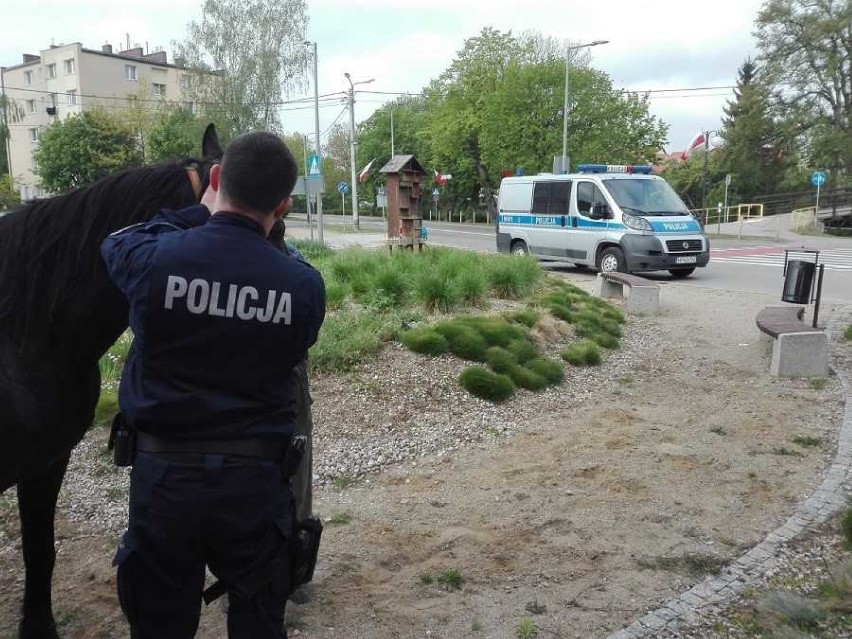 Nowy Dwór Gdański. Policjanci ujarzmili biegającego po terenie miasta konia