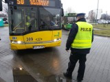 Kontrole autobusów w Siemianowicach, a także busów i pojazdów nauki jazdy