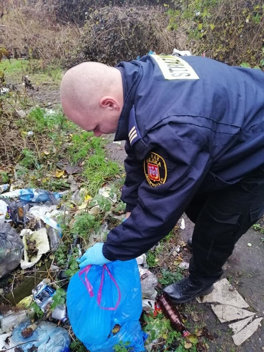 Strażnicy Miejscy z Inowrocławia powoli specjalizują się już...