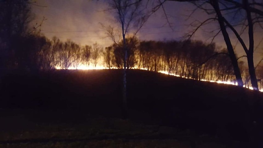 Pożar hałdy przy Rymerze w Rybniku. Zastępy strażackie z Rybnika i Rydułtów walczą z ogniem